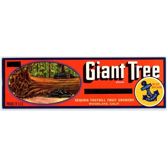 Giant Tree California Blue Anchor Fruit Crate Label Vintage 1940s Old Car Auto - Picture 1 of 2
